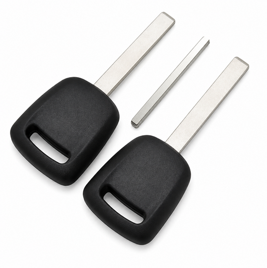 GM B119-PT HU100 Transponder Key – Philips ID46 GM EXT / PCF7937E