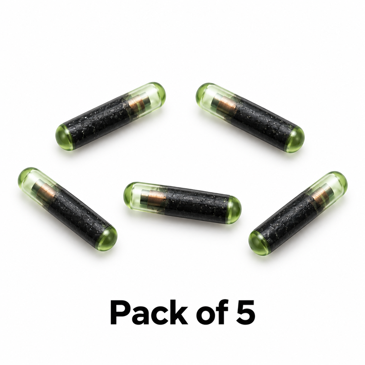 Megamos ID13 (T2) Glass Transponder Chip - Pack of 5