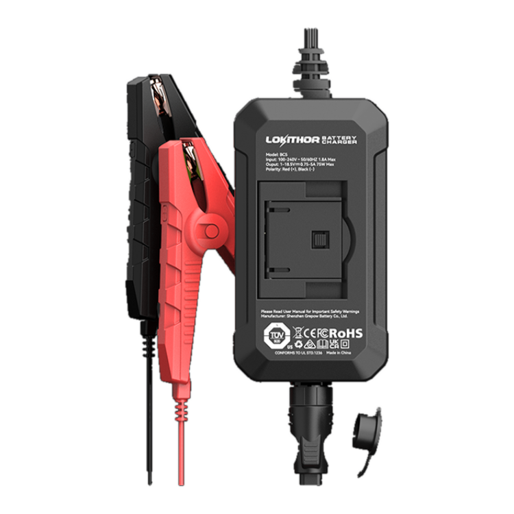 LOKITHOR BC5 battery charger back label